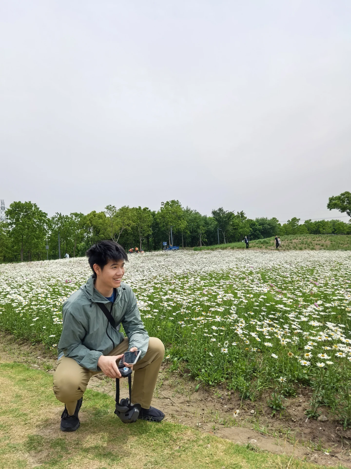 Lala in a field of small white flowers